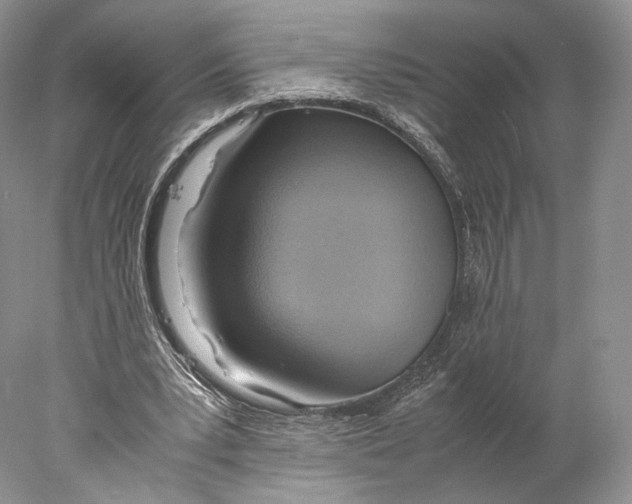 X0000077990391200611251417