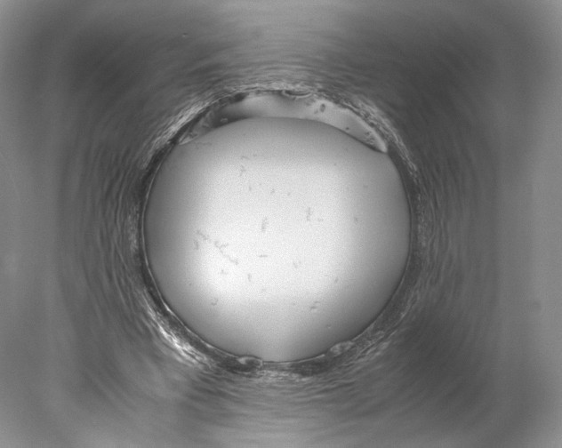 X0000077990393200611251417
