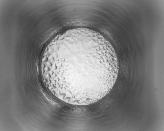 X0000077990398200611251417