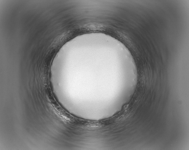 X0000077990402200611251417