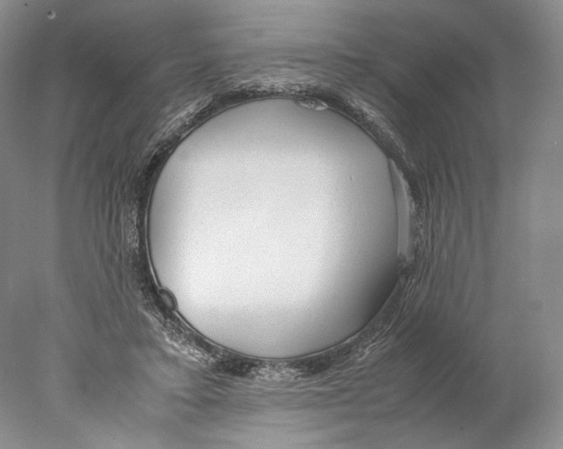 X0000077990403200611251416