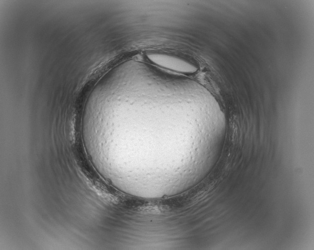 X0000077990404200611251416