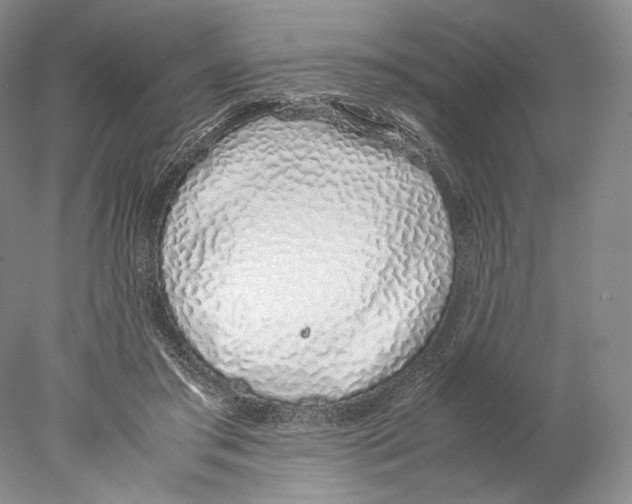 X0000077990405200611251416