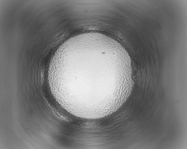 X0000077990406200611251416