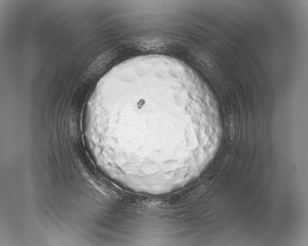 X0000077990408200611251416