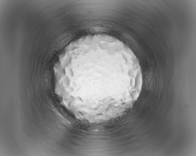 X0000077990410200611251416