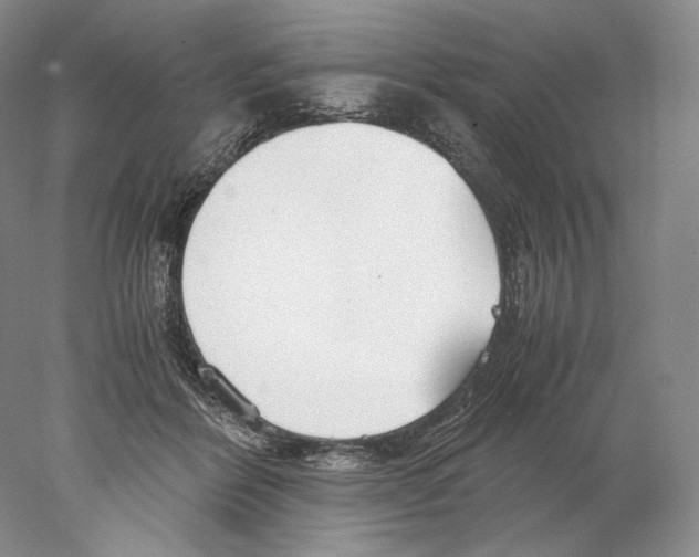X0000077990412200611251416