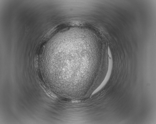 X0000077990413200611251416