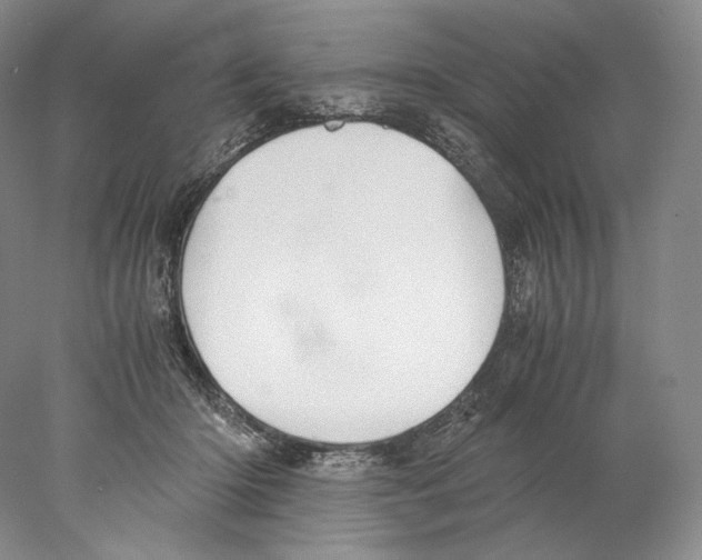 X0000077990414200611251416