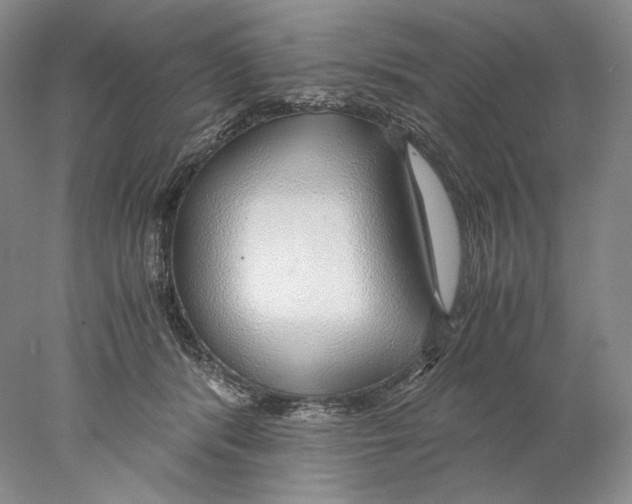 X0000077990416200611251416