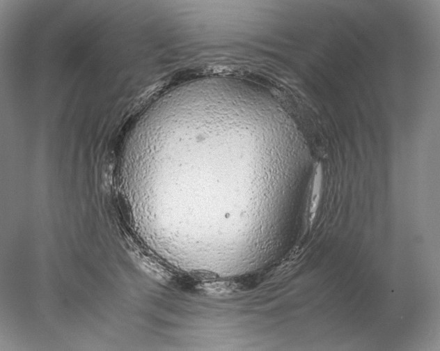 X0000077990417200611251416
