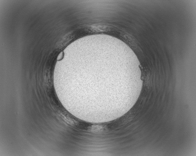 X0000077990418200611251416