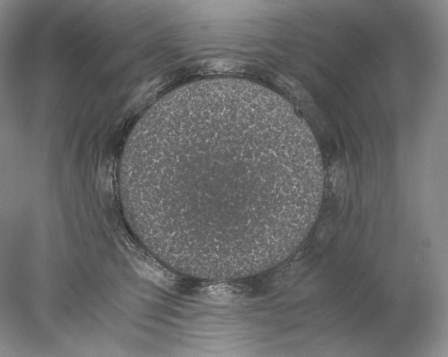 X0000077990423200611251416