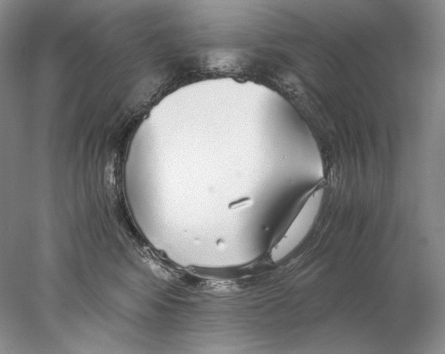 X0000077990424200611251416