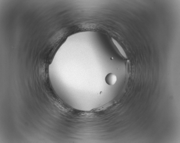 X0000077990428200611251416