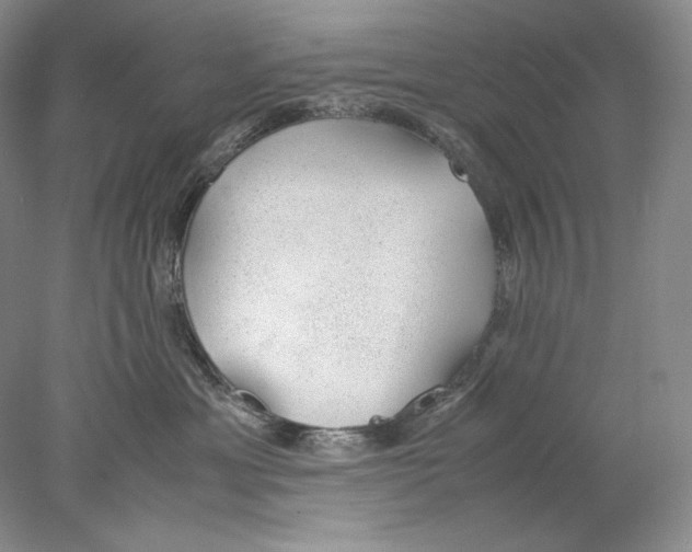 X0000077990429200611251416