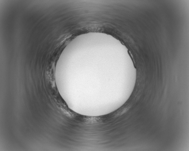 X0000077990432200611251416