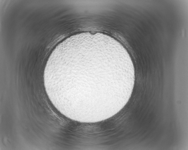 X0000077990433200611251415