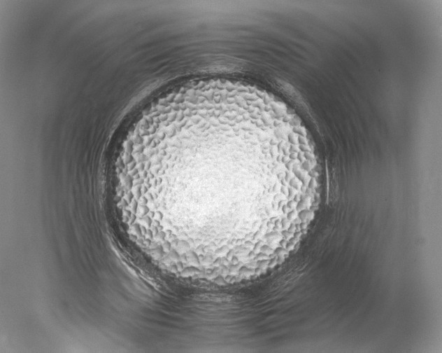 X0000077990435200611251415