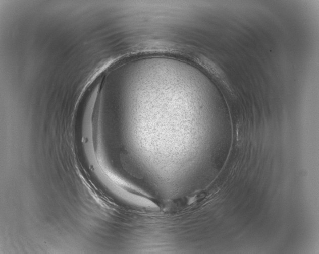 X0000077990436200611251415