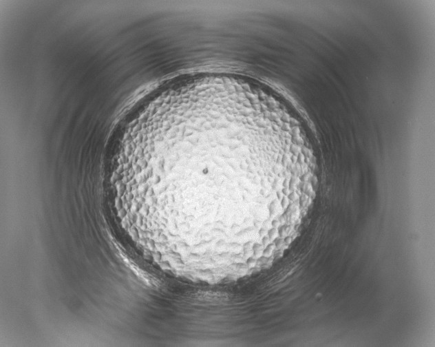 X0000077990437200611251415