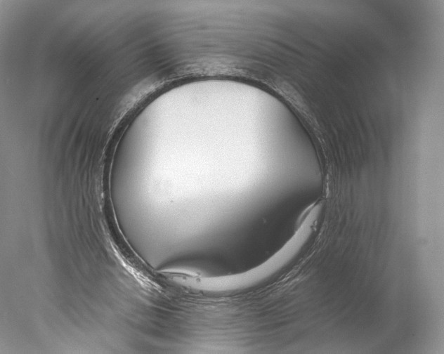 X0000077990438200611251415