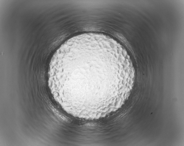 X0000077990441200611251415