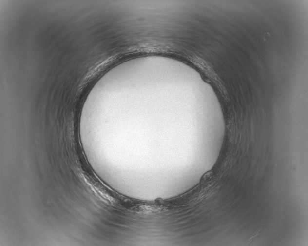 X0000077990442200611251415