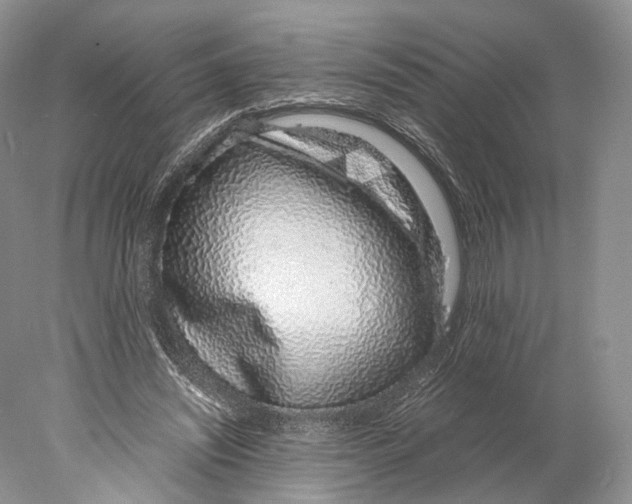 X0000077990444200611251415