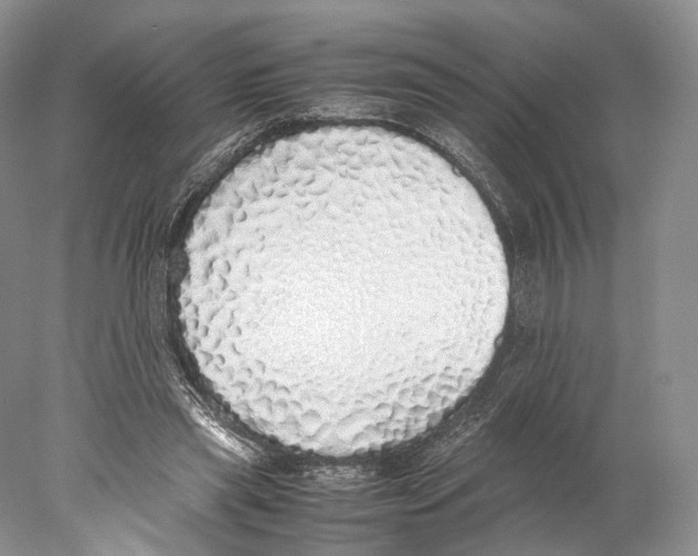 X0000077990445200611251415