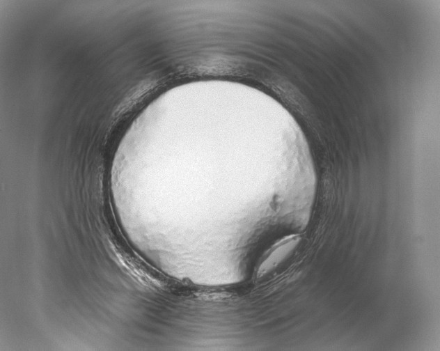 X0000077990446200611251415