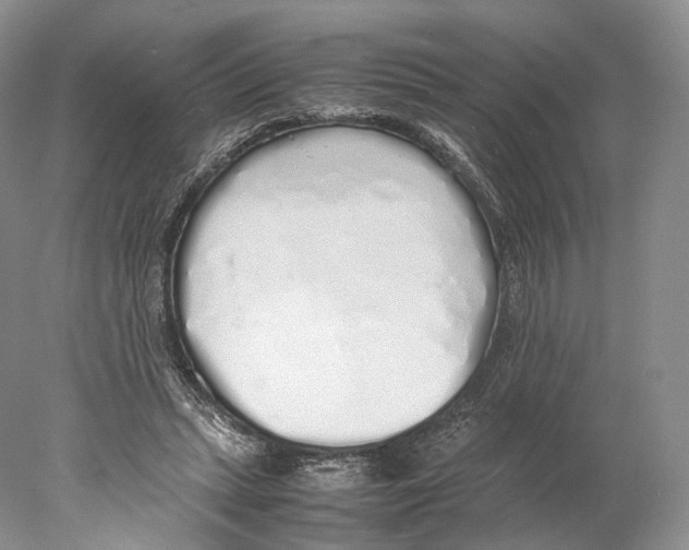 X0000077990447200611251415