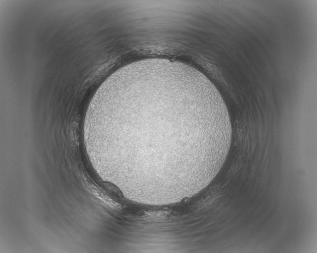 X0000077990450200611251415