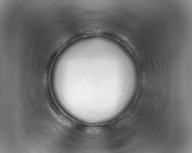 X0000077990451200611251415