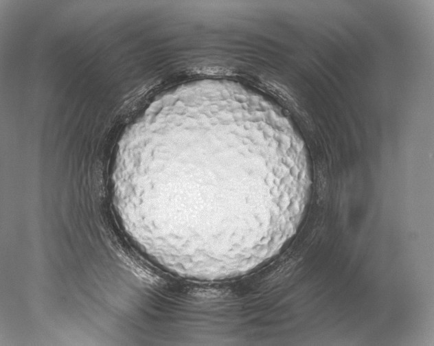 X0000077990453200611251416