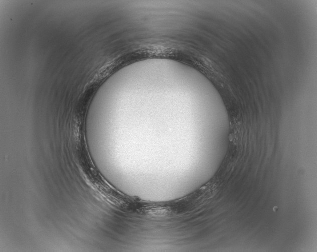 X0000077990456200611251416