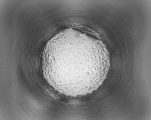 X0000077990457200611251416