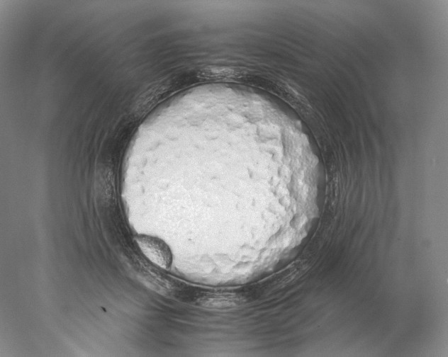 X0000077990459200611251416