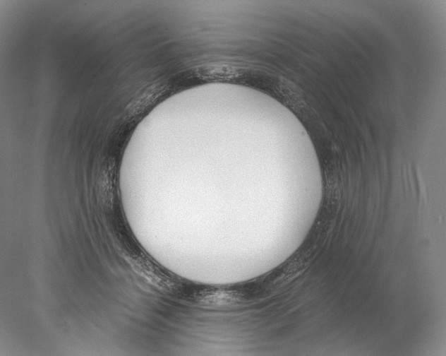 X0000077990460200611251416