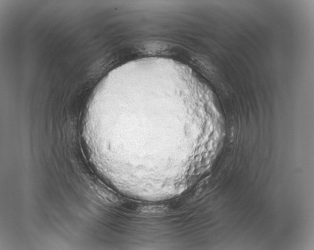 X0000077990461200611251416