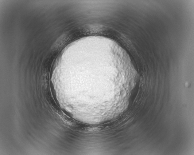 X0000077990462200611251416