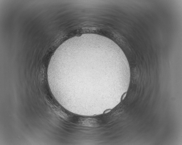 X0000077990463200611251416