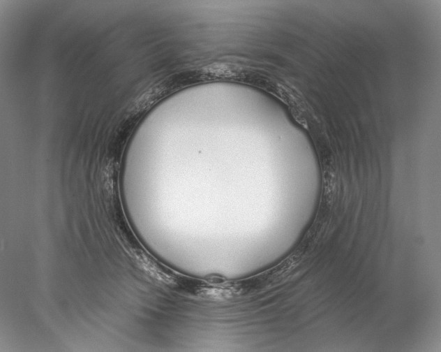 X0000077990466200611251416