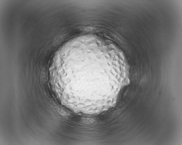 X0000077990469200611251416