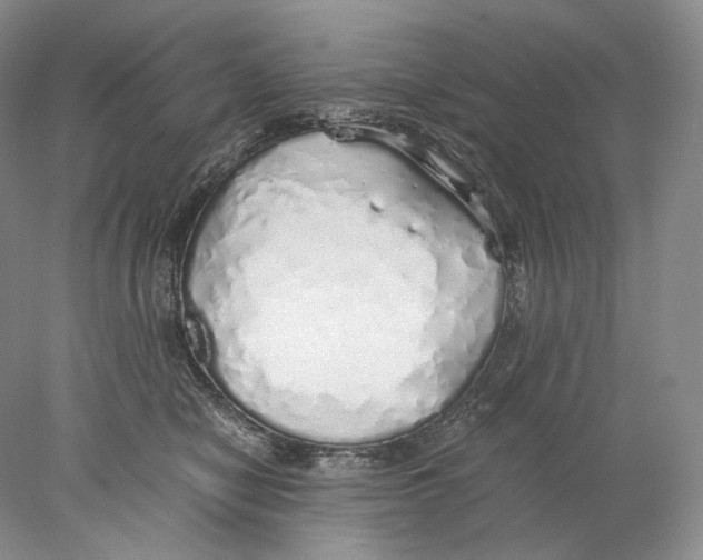 X0000077990470200611251416