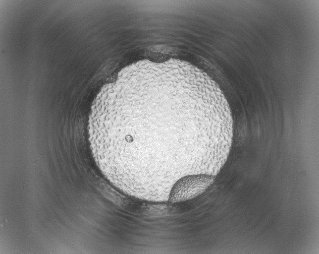 X0000077990473200611251416