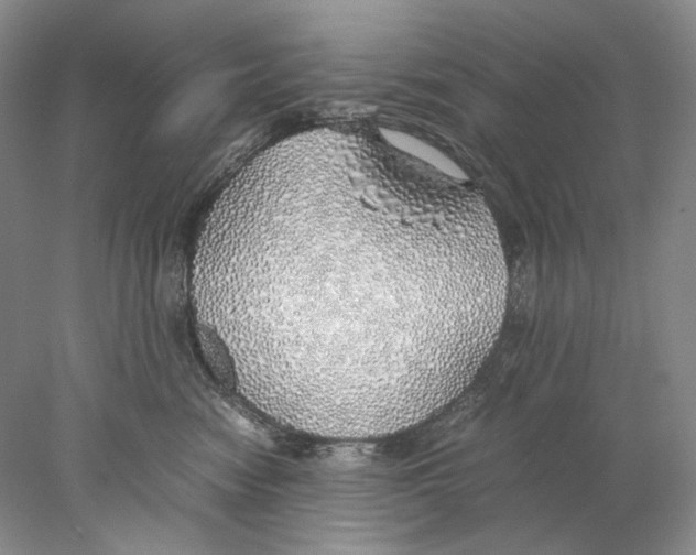 X0000077990474200611251416