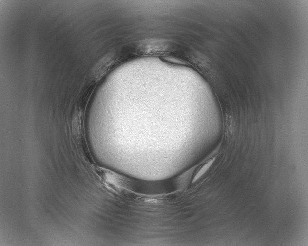 X0000077990475200611251416