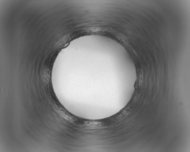 X0000077990476200611251416