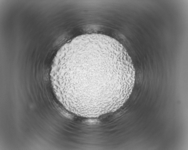 X0000077990477200611251416